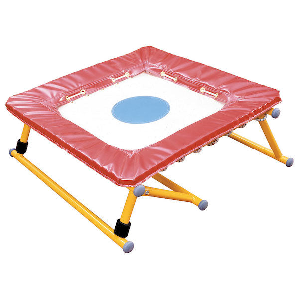 Trampoline Gym Bouncer
