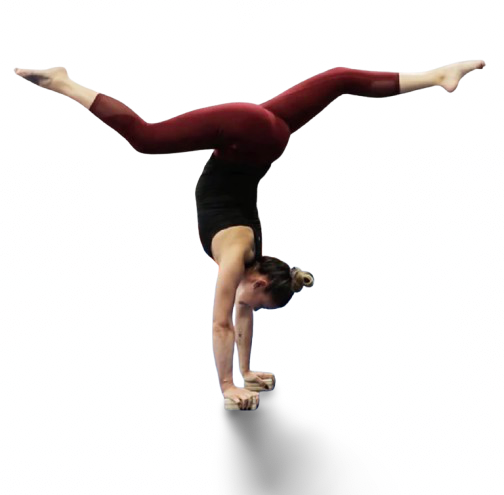 3 in 1 Adjustable Handstand Canes