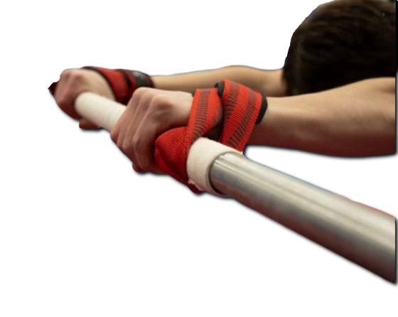 Gym Kiwis Swing Straps (Bar Loops)