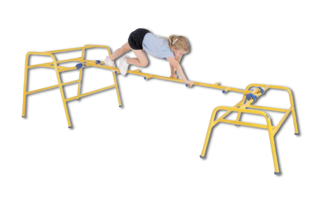Gym Time Cat Ladder