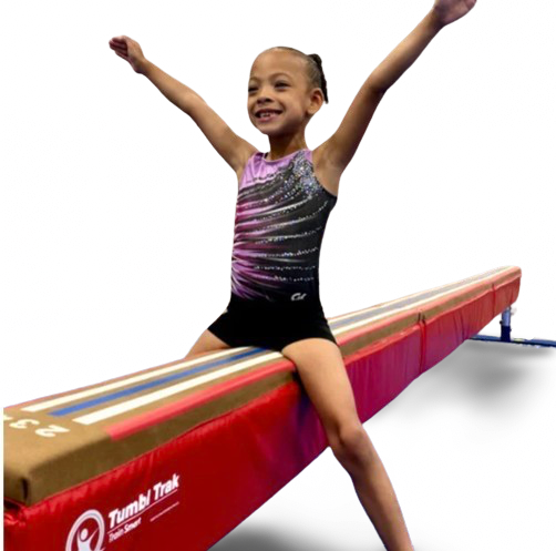 Laser Balance Beam Training Pad