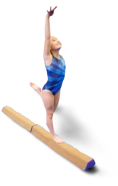 Sectional Balance Beam - Suede