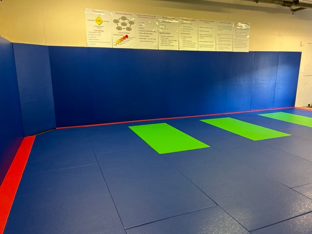 Wall Pads