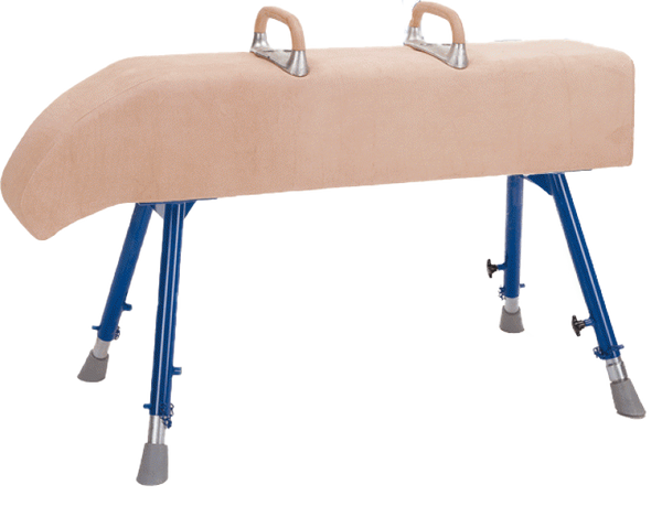 Vaulting Horse - Sloping Neck