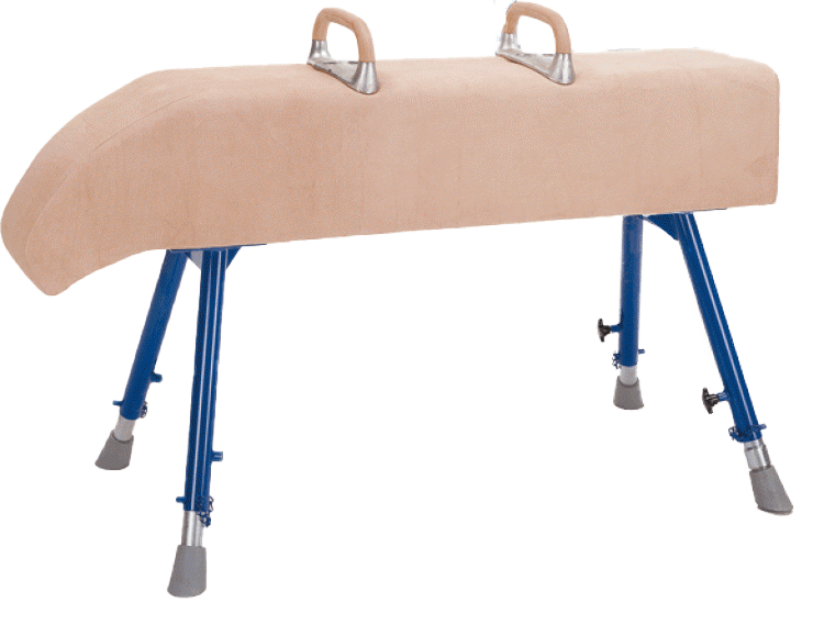 Vaulting Horse - Sloping Neck